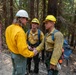 Three wildland firefighters are gathered in a forested area, with one individual wearing a white hard hat shaking hands with another wearing a yellow hard hat. The firefighters are dressed in standard Nomex fire-resistant clothing and are equipped with gear including backpacks and tools. The setting appears to be an active or recently worked fire line in a conifer forest.