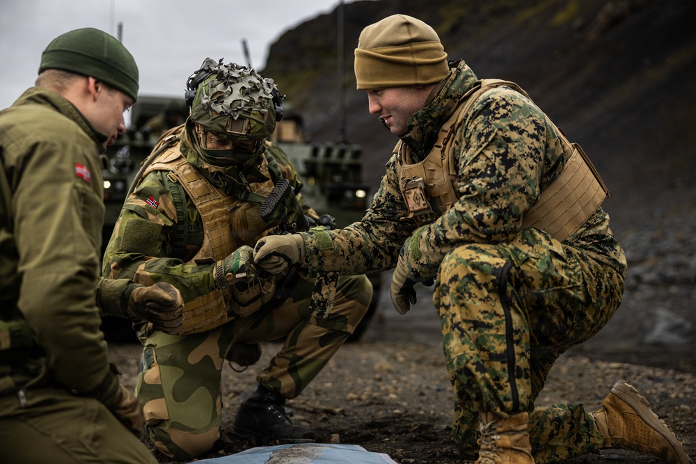 U.S. Marines, Norwegian Home Guard Conduct Joint Displacement in Jan Mayen