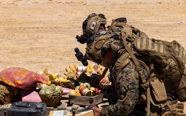 Influence specialists with 1st Recon Bn. conduct military information support operations