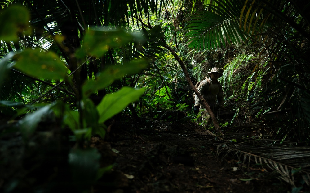 A single individual in military-style camouflage clothing and a hat navigates through dense tropical jungle terrain. The scene is dramatically lit with dappled light filtering through a heavy canopy of palm fronds and broad-leafed vegetation. The composition uses foreground foliage to frame the subject, creating depth and a sense of immersion in the environment.