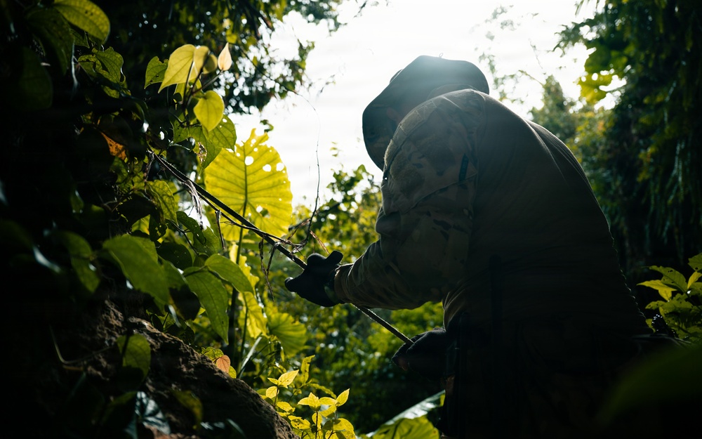 A person wearing a wide-brimmed hat and dark jacket is working among dense tropical vegetation, appearing to examine or cut plant stems and branches. The image is captured from a low angle with strong backlighting, creating a dramatic silhouette effect against a bright sky filtered through the forest canopy. The lush green foliage, including large broad leaves, surrounds the figure in what appears to be a tropical or subtropical forest environment.