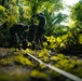 Two individuals in military camouflage uniforms are operating in a dense tropical jungle environment. One person is bent over working at ground level while the other stands upright carrying or adjusting a large pack or equipment. The scene is photographed from a low ground-level angle with lush green vegetation in the foreground and backlit canopy above.