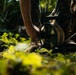 The image shows individuals in camouflage military-style clothing working with a cable or wire spool in a dense jungle or forest environment. One person is handling a green military-style field wire reel, while another person appears to be assisting nearby. The scene suggests a field communications or engineering operation in a tropical outdoor setting.