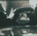 A close-up, moody photograph of boxing gloves bearing the 'TITLE' brand logo, resting on what appears to be a reflective surface. The image has a vintage, film-like aesthetic with a desaturated teal-green tone and shallow depth of field. The composition emphasizes the texture and weight of the gloves in an atmospheric gym setting.