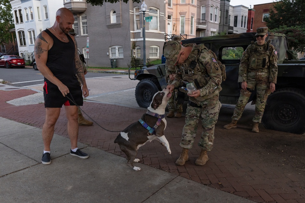 Two military personnel in camouflage uniforms interact with a civilian and his dog on a brick sidewalk in an urban residential neighborhood. One soldier is bending down to offer something to a brown and white pit bull-type dog while the owner watches. A military Humvee is parked in the background alongside a third soldier.
