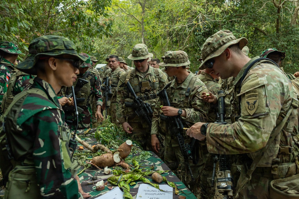 A group of military personnel in camouflage uniforms are gathered around a table covered with various jungle plants and root vegetables during what appears to be a jungle survival or field craft training exercise. Two distinct uniform patterns are visible, suggesting a joint multinational military exercise, with one group wearing Indonesian TNI (Tentara Nasional Indonesia) camouflage and the other wearing US Army Operational Camouflage Pattern (OCP). The soldiers are examining and handling edible plants laid out on a camouflage-covered table with identification labels.