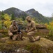 Two military personnel in tan/coyote-colored uniforms are kneeling on a moss-covered rocky outcrop in a mountainous, subarctic or Nordic landscape. One individual appears to be operating a radio communications device while the other reviews a document or map. The autumn foliage, rocky peaks, low cloud cover, and tundra-like vegetation suggest a Scandinavian or northern European training environment.