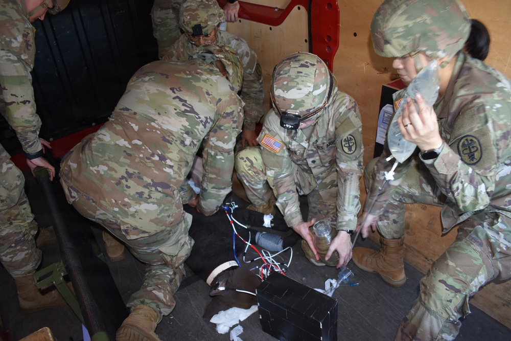 68Tango Soldiers sharpen veterinary skills during annual sustaining training at VMCE