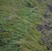 The image shows a steep, grassy and rocky hillside or cliff face with multiple individuals engaged in a rope-assisted descent or rescue operation. At least four people are visible at different elevations on the slope, connected by ropes. The terrain is rugged, featuring patches of dark volcanic rock interspersed with dense green vegetation.