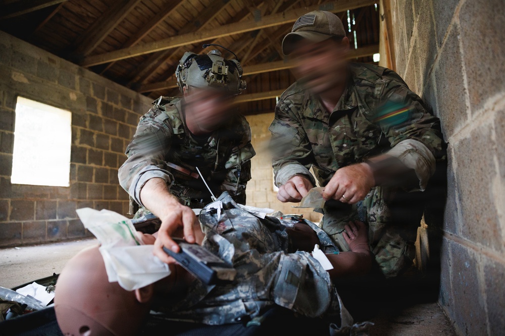 1/10 Special Forces Group (Airborne) TCCC Lane