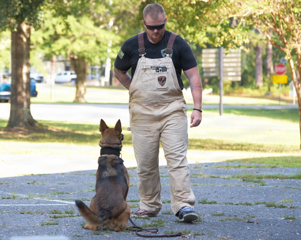 NAS Meridian Hosts Joint MWD Homemade Explosive Training