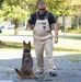 NAS Meridian Hosts Joint MWD Homemade Explosive Training