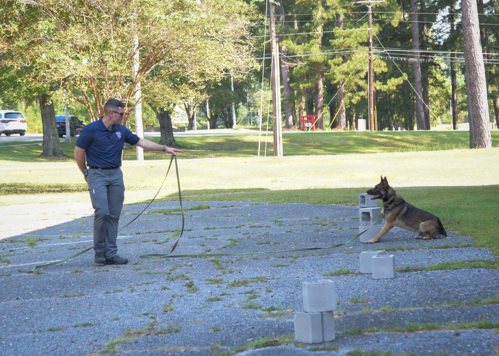 A handler in a navy polo shirt is conducting K9 training with a German Shepherd in an outdoor paved area. The dog is in a seated/down position next to stacked cinder blocks while the handler holds a long leash and gives a hand signal command. The setting appears to be a park or institutional grounds with trees, grass, and utility poles in the background.