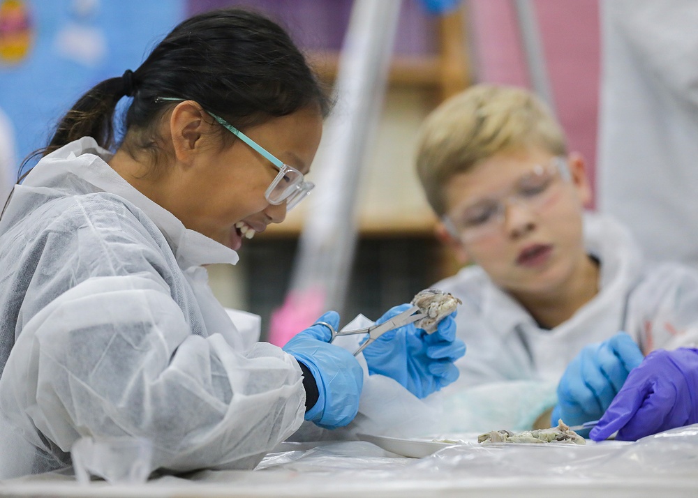 Two children are engaged in a science dissection activity, likely in a classroom setting. Both are wearing protective gear including lab coats, safety goggles, and latex gloves. The girl in the foreground is smiling and using forceps/pliers to examine a specimen, while the boy in the background observes.