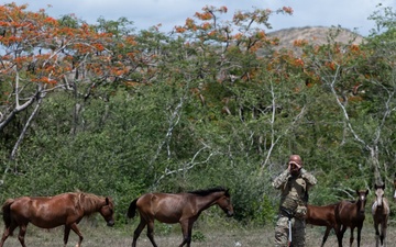 156th CRG Airfield Assessment at Camp Santiago JTC