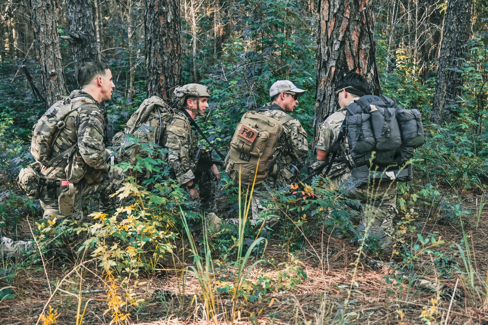 Four individuals in military camouflage uniforms and tactical gear are moving through a forested area. They are carrying large rucksacks and appear to be on a patrol or field training exercise. The setting is a mixed pine and deciduous forest with undergrowth, suggesting a temperate environment.