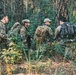 Four individuals in military camouflage uniforms and tactical gear are moving through a forested area. They are carrying large rucksacks and appear to be on a patrol or field training exercise. The setting is a mixed pine and deciduous forest with undergrowth, suggesting a temperate environment.