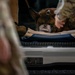 Joint medical partnership enhances military working dog readiness