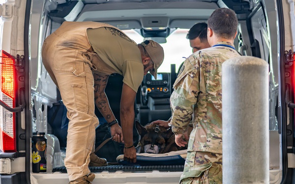 Joint medical partnership enhances military working dog readiness