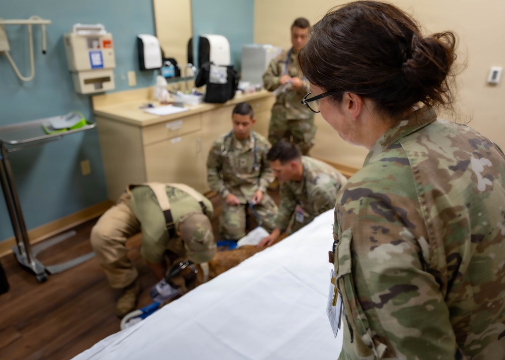 Joint medical partnership enhances military working dog readiness