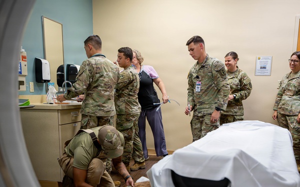 Joint medical partnership enhances military working dog readiness