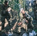 Military personnel in camouflage uniforms are conducting a tactical combat casualty care (TCCC) exercise in a wooded outdoor environment. Two medics are actively treating a simulated casualty on the ground, with one holding up what appears to be an IV fluid bag. A third uniformed individual stands in the background observing the scenario.
