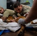 Joint medical partnership enhances military working dog readiness
