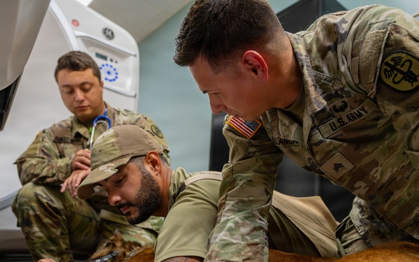 Joint medical partnership enhances military working dog readiness
