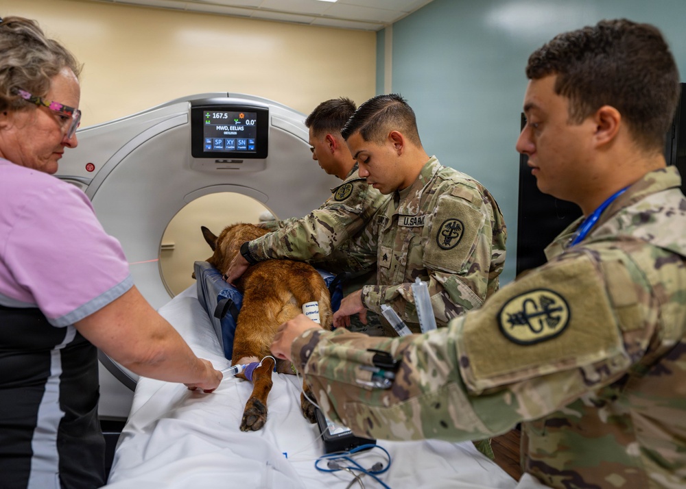 Joint medical partnership enhances military working dog readiness
