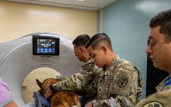 Joint medical partnership enhances military working dog readiness