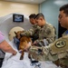 Joint medical partnership enhances military working dog readiness