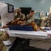 Joint medical partnership enhances military working dog readiness