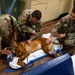 Joint medical partnership enhances military working dog readiness