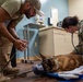 Joint medical partnership enhances military working dog readiness