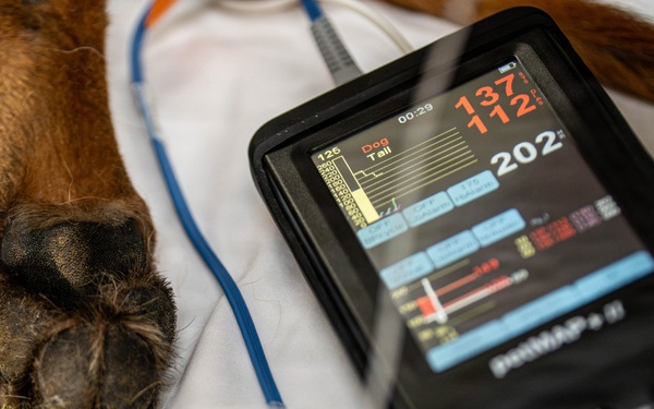 Joint medical partnership enhances military working dog readiness