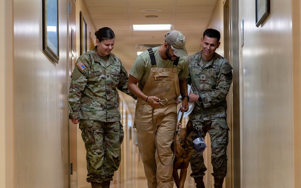 Joint medical partnership enhances military working dog readiness