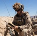 A soldier in full combat gear is seated in a desert trench or fighting position, reading from a notebook or field manual. At least one additional soldier is visible in the background in a crouched position. The environment is arid and open, consistent with a desert training or operational environment.