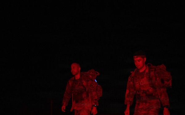 47th Flying Training Wing and 315th Engineer Battalion Participate in Danish Flyver March