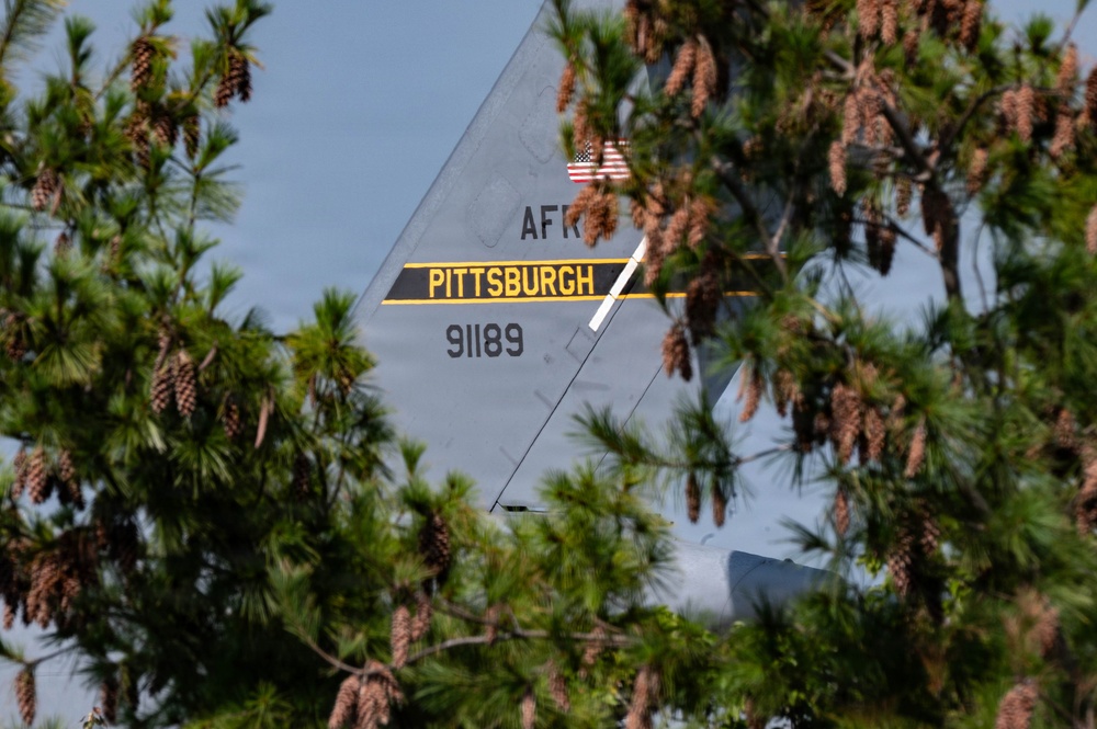 The image shows the tail fin of a military aircraft partially obscured by pine trees with visible cones. The tail markings identify it as belonging to the Pittsburgh Air Force Reserve (AFRC), with the serial number 91189 and an American flag decal visible. The aircraft appears to be a large transport or cargo plane based on the tail fin shape and gray paint scheme.