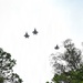 Three military jet aircraft are photographed from a low angle flying overhead in a loose formation against a bright, overcast sky. The image is taken from ground level looking upward through the canopy of tall trees. The aircraft appear to be modern stealth fighters based on their visible silhouettes.