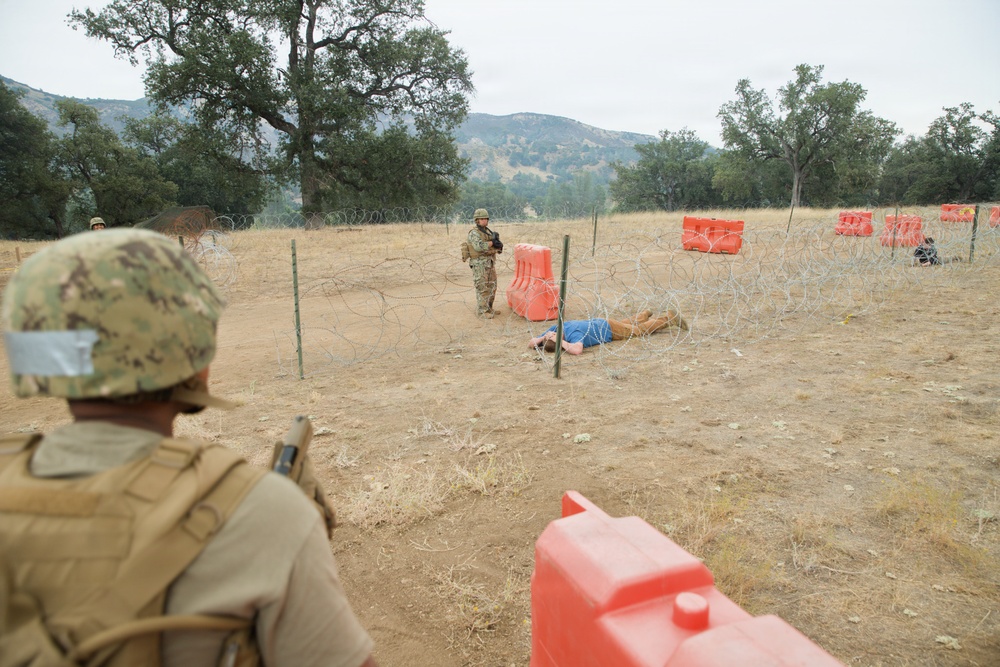 A military training exercise is taking place in an open field with dry grass and oak trees. Personnel in camouflage uniforms are positioned around a concertina wire perimeter marked with orange barriers, with a civilian role-player lying on the ground near the wire. The scene depicts a simulated crowd control or border security scenario.