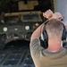 STORM FLAG 26-10 builds joint readiness
