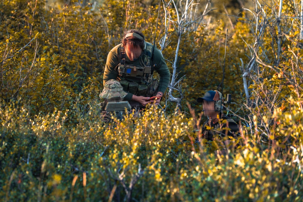 Two individuals in tactical/military gear are positioned within dense autumn foliage, partially concealed by shrubs and brush. The standing individual appears to be operating a handheld device while wearing a plate carrier vest, while the second individual is lower in the vegetation wearing a cap and headset. The setting suggests a field operation, training exercise, or reconnaissance activity in a natural outdoor environment.