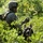 BLT 3/6, 24th MEU conducts vertical assault raid course