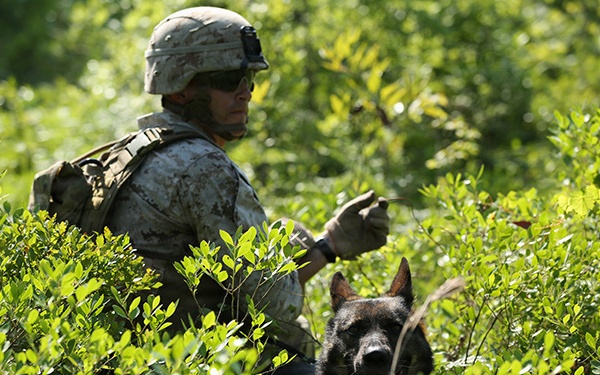 BLT 3/6, 24th MEU conducts vertical assault raid course