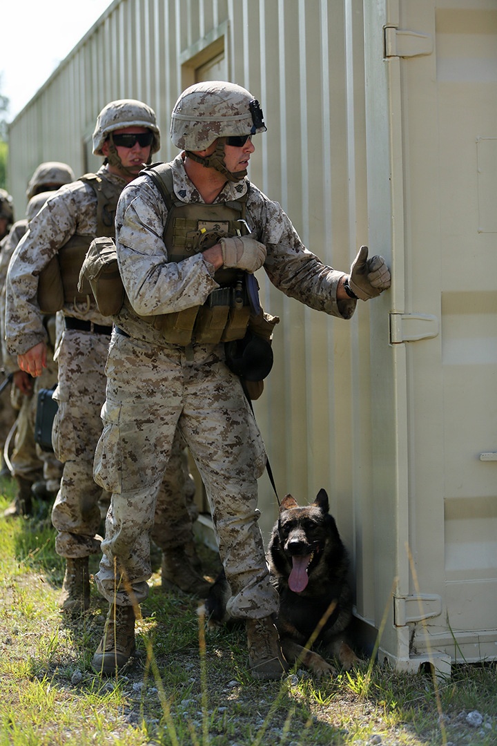 BLT 3/6, 24th MEU conducts vertical assault raid course
