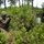 BLT 3/6, 24th MEU, conducts mechanized raids