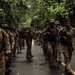 A column of military personnel in camouflage uniforms marches along a wet paved road through dense tropical jungle. The soldiers are equipped with tactical gear, backpacks, and firearms, suggesting a training exercise or patrol operation. The lush green canopy overhead and wet road surface indicate a humid, rainy tropical environment.