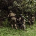 A group of approximately five to six armed military or paramilitary personnel in camouflage uniforms are positioned at the edge of a dense jungle or forested area. They appear to be conducting a tactical operation, with some kneeling and others standing while moving into the tree line. The lush green vegetation and terrain suggest a tropical or subtropical environment.