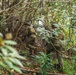 Two individuals in military-style camouflage uniforms and tactical gear are moving through dense jungle or forest vegetation. Both are wearing helmets and plate carriers/vests with visible patches, navigating through thick brush and undergrowth. The image appears to capture a patrol or training exercise in a tropical or subtropical environment.